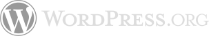 WordPress – brak możliwości wyszukiwania z polskimi znakami