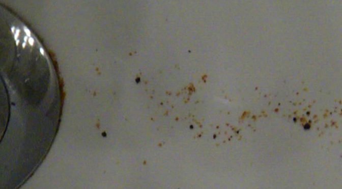 Ciąg dalszy przygód z zanieczyszczoną wodą