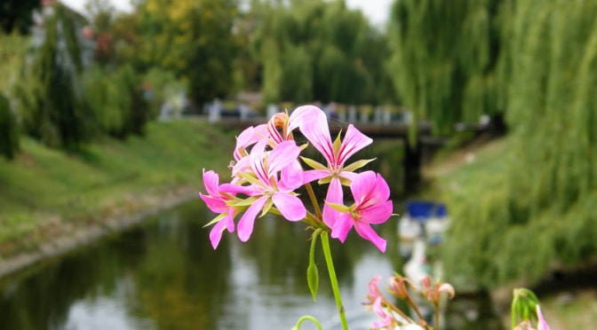 Wyjazd do Pułtuska i okolic