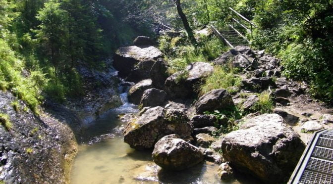 Wakacje 2017 – Palenica przez Wąwóz Homole