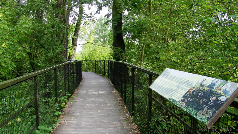 Spacer po Ścieżce Przyrodniczej w Pomiechówku