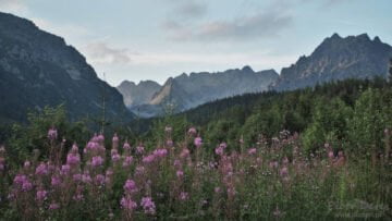 Dolina Mięguszowiecka