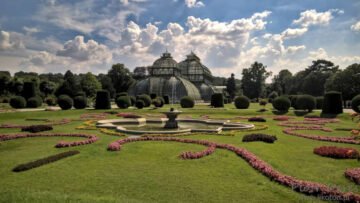 Schonbrunn Palmiarnia