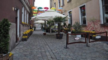 Grudziądz Kolorowe parasole