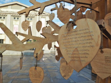 Katowice Drzewo klimatyczne