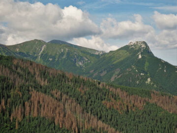 Kopa Kondracka, Małołączniak, Giewont