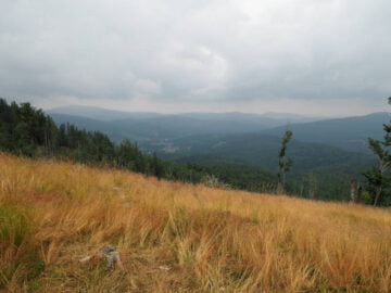 Polana Kaczmarczykowa