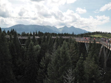 Ścieżka w Koronach Drzew