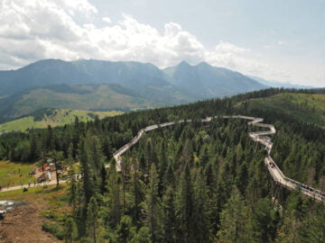 Ścieżka w Koronach Drzew