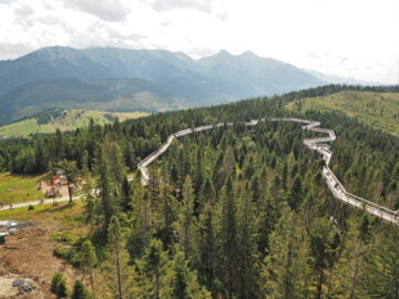 Ścieżka w Koronach Drzew