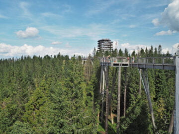 Ścieżka w Koronach Drzew Ścieżka w Koronach Drzew