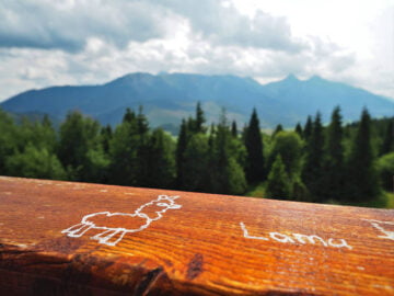 Widok z małej wieży widokowej