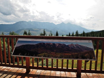 Widok z małej wieży widokowej