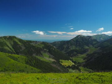 Dolina Chochołowska