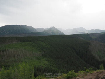 Tatry Wysokie z Kopieńca Wielkiego