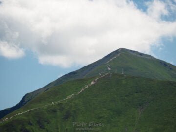 Starorobociański Wierch