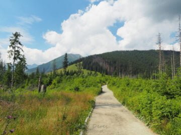 Zielony szlak na Rusinową Polanę