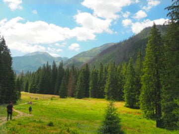 Wielka Polana Ornaczańska