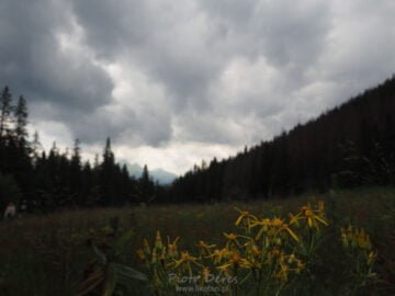 Rówień Waksmundzka