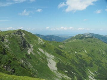 Siwy Zwornik, Ornaki