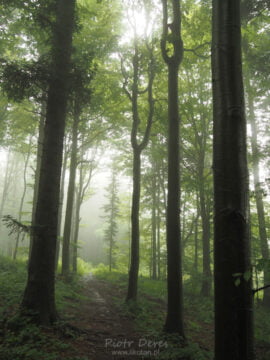 Czarny szlak na Lubomir
