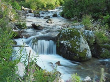 Starorobociański Potok