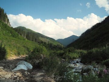 Starorobociańska Dolina