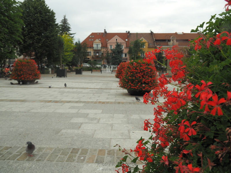 Wakacje 2021 – Zakończenie urlopu w 2021 roku