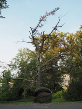 Duszniki-Zdrój Park Zdrojowy