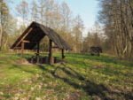 Puszcza Kampinoska Polana w Zaborowie Leśnym