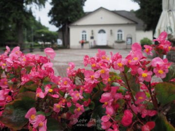 Duszniki-Zdrój Dworek Chopina