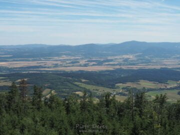Jagodna Widok z wieży widokowej