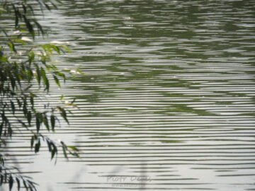 Kamienna Góra Zalew