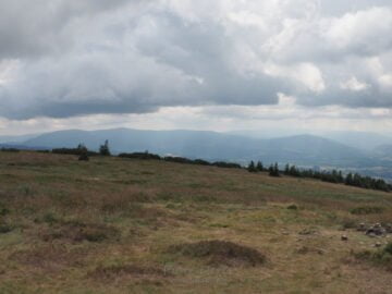 Widok ze Śnieżnika