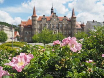 Ratusz w Wałbrzychu