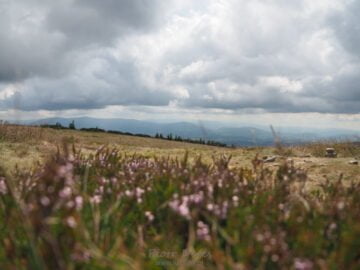 Widok ze Śnieżnika