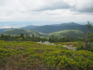 Widok ze Śnieżnika