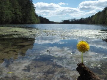 Olsztyn Jezioro Długie