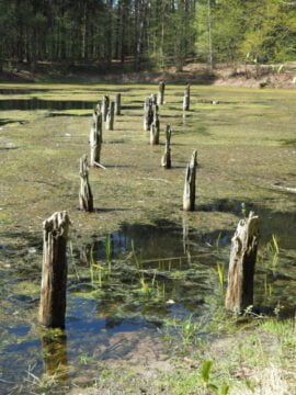 Olsztyn Jezioro Długie