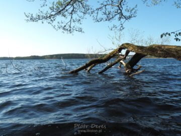 Olsztyn Jezioro Ukiel