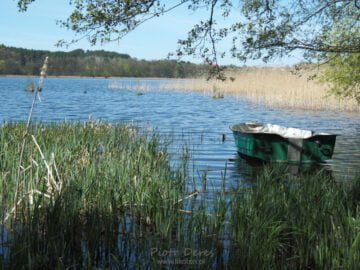 Olsztyn Jezioro Kortowskie