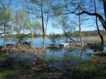 Olsztyn Jezioro Kortowskie