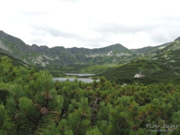 Dolina Pięciu Stawów Polskich