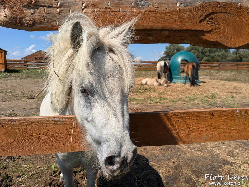 Zagroda Zabłocie i Serock