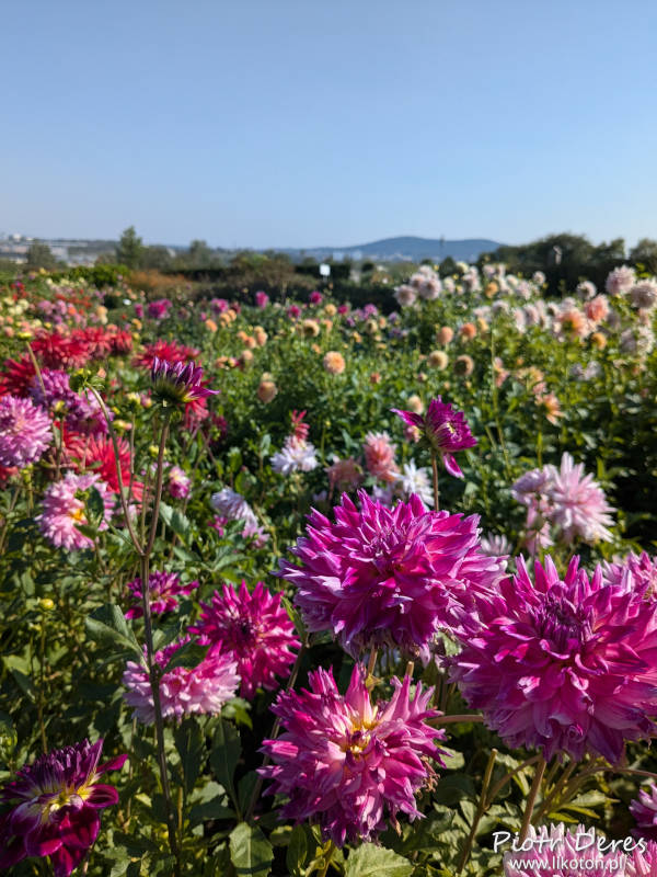 Kielce Ogród Botaniczny Geonatura