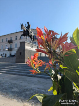 Kielce Plac Wolności -pomnik Józefa Piłsudskiego