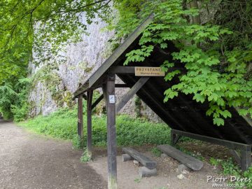 Przystanek Martwe drewno w Ojcowie