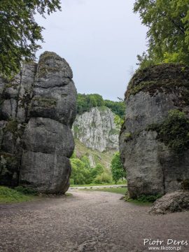 Brama Krakowska w Ojcowie