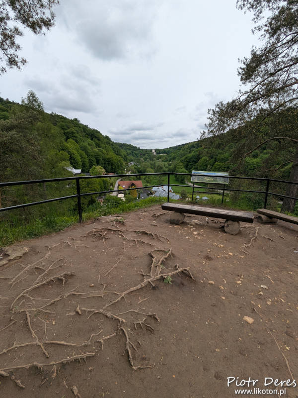 Ojców z wieży widokowej