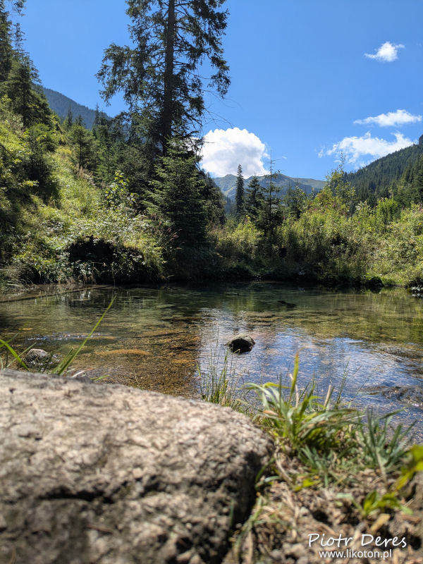 Wywierzysko Chochołowskie